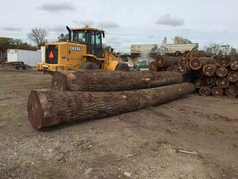 Porcellana Dongguan Yinghui Wood Industry Co., Ltd. Profilo Aziendale