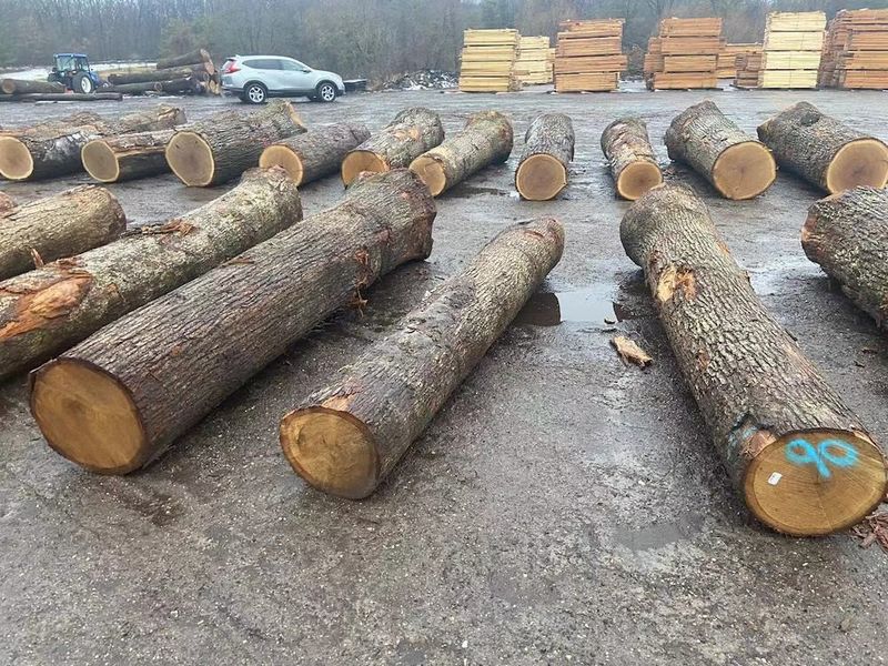 Porcellana Dongguan Yinghui Wood Industry Co., Ltd. Profilo Aziendale