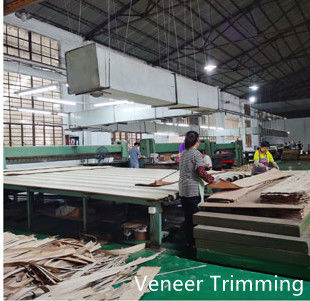 Dongguan Yinghui Wood Industry Co., Ltd. linea di produzione del produttore
