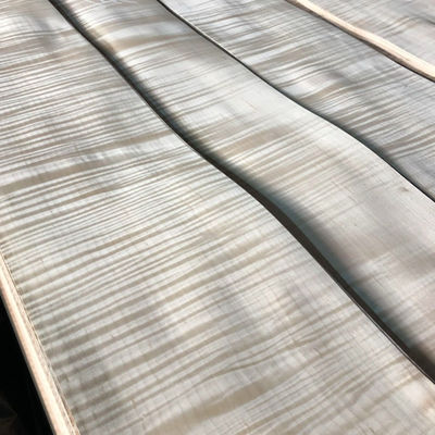 Figured Maple Natural Wood Veneer AA Grade 0.45mm For Furniture