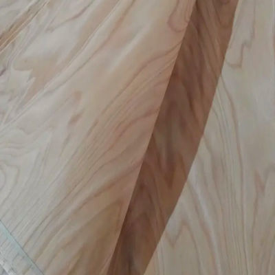 E2 Rotary Cut Beech Veneer , 0.3mm Thickness Beech Wood Veneer Sheet