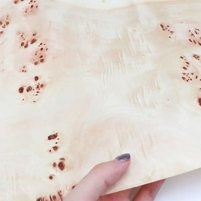 Burl Mappa Solid Wood Veneer 0.50mm For Furniture Acoustic Guitar Surface