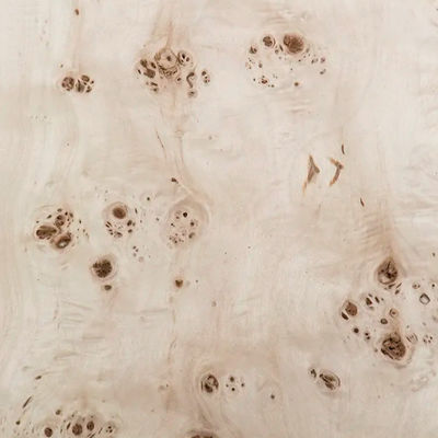 Burl Mappa Solid Wood Veneer 0.50mm For Furniture Acoustic Guitar Surface