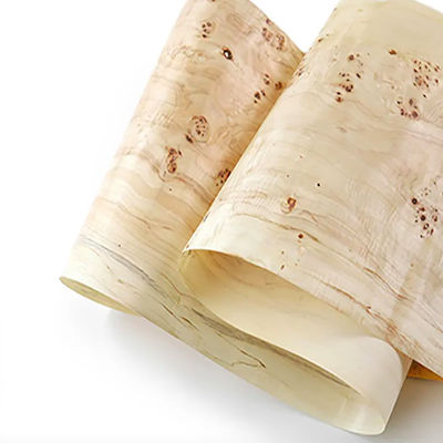 Natural Mappa Burl Wood Veneer 0.6mm Thickness With Phenolic Glue