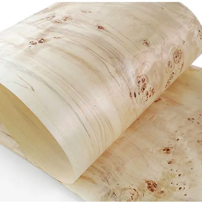Natural Mappa Burl Wood Veneer 0.6mm Thickness With Phenolic Glue