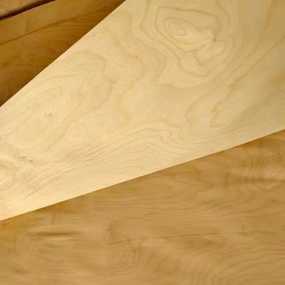 Birch Rotary Cut Veneer Natural Wood Sheets 0.6mm-3.0mm For Crafts